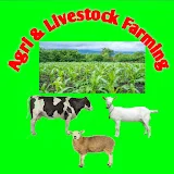 Agri & livestock Farming 3.4M Views