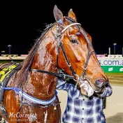 Marco Reviews Harness Racing