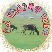 ሶፊ የአላንሻዋ tube