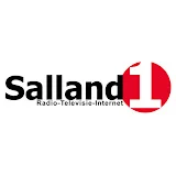 Salland1