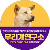 우리개 연구소JindodogInst