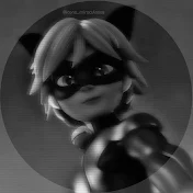 Miracleo_Ladybug and cat noir2