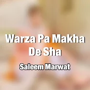 Saleem Marwat - Topic