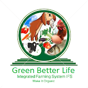 Green Better Life