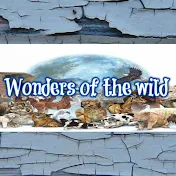 Wonders of the Wild