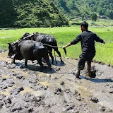 Real Nepali Life