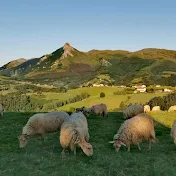 Donosti City TV