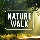 Nature Walk