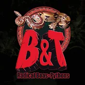 B&T’s Radical Boas and Pythons