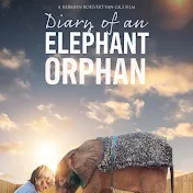 Diary of an Elephant Orphan Channel
