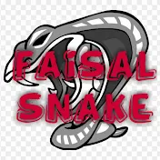 Faisal snake