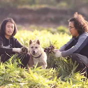 숨비재제주농부 Jeju Farmer