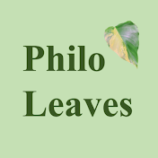 Philo Leaves - 필로립스
