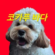 쿼카랑 바다. CockaPoo Bada. Archive.