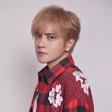 Show Lo - Topic