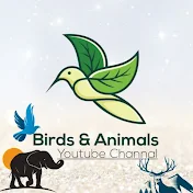 Birds & Animals