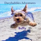 Davybubbles Adventures