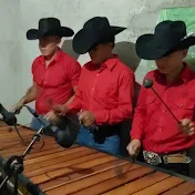 MARIMBA SONORA QUETZAL DE CHURISCHAN