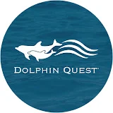 Dolphin Quest