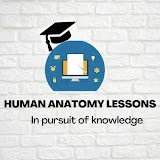 Human Anatomy Lessons