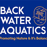 Back Water Aquatics