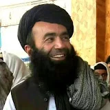 Sheikh Sardar Wali