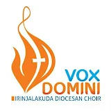 Vox Domini