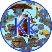 Kk Creatures