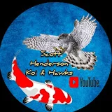 Scott Henderson Koi & Hawks