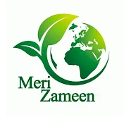 Meri Zameen