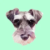 Scotty the Schnauzer