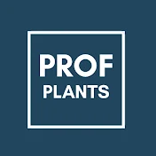 Professeur Plants