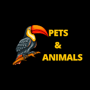 pets & animals