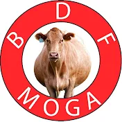 Brar Dairy farm moga