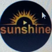 Sunshine Consulting Firm