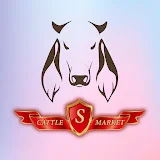 shah cattle market