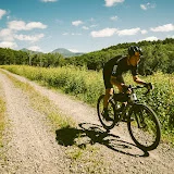 ていちゃんねるの自転車チャンネル