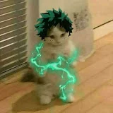 @Deku-Cat