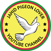 Jahid Pigeon Lover