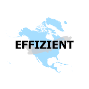 Effizient Inc