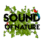 SOUND OF NATURE