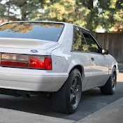 MrFoxbody