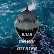 The Wild Attacks