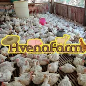 Avena Farm