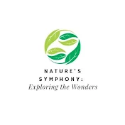 Nature's Symphony: Exploring the Wonders