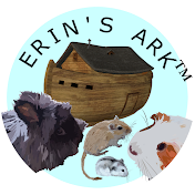 Erin's Ark