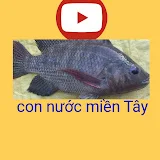 Con Nước Miền Tây