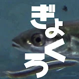 釣りするぎょくろ