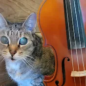 ClassicCats Violin