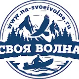 Своя Волна